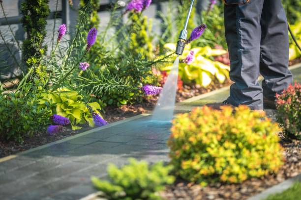  Selden, NY Pressure Washing Pros