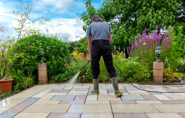 Best Roof Washing  in Selden, NY